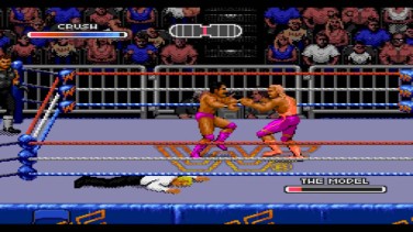 WWF Royal Rumble 13