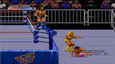 WWF Royal Rumble 17