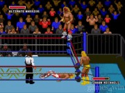 WWF Super Wrestlemania 3