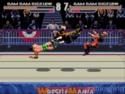 WWF Wrestlemania Arcade Game 17