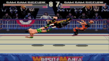 WWF Wrestlemania Arcade Game 17