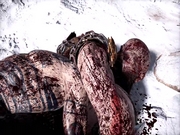 God of War 4 11