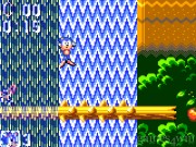 Sonic The Hedgehog 9